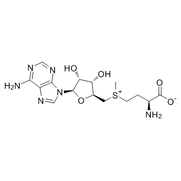 S-腺苷-L-蛋氨酸图片