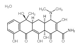 tetracycline hydrate structure