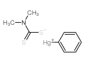 phenylmercury dimethyldithiocarbamate Structure