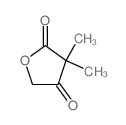 2,4(3H,5H)-Furandione,3,3-dimethyl-结构式