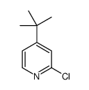 4-(叔丁基)-2-氯吡啶结构式