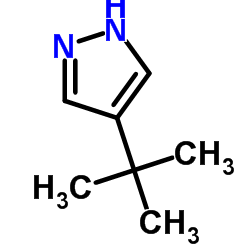 4-(2-Methyl-2-propanyl)-1H-pyrazole Structure