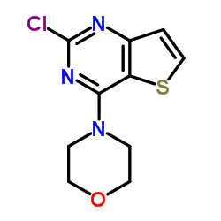 2-氯-4-(4-吗啉基)噻吩并[3,2-D]嘧啶结构式