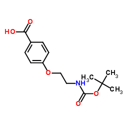 4-(2-((叔丁氧基羰基)氨基)乙氧基)苯甲酸结构式