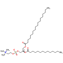 1-硬脂酰-2-肉豆蔻酰基卵磷脂结构式