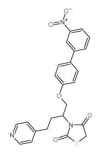 3-{1-[(3'-硝基-4-联苯基)氧基]-4-(4-吡啶基)-2-丁烷基}-1,3-噻唑烷-2,4-二酮结构式