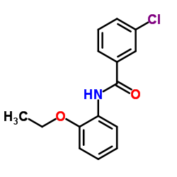 3-Chloro-N-(2-ethoxyphenyl)benzamide Structure