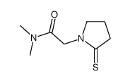 N,N-dimethyl-2-(2-sulfanylidenepyrrolidin-1-yl)acetamide结构式