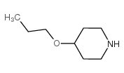 4-正丙氧基哌啶结构式