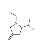 Pyrrolidine, 4-methylene-2-(1-methylethyl)-1-propyl- (9CI) Structure