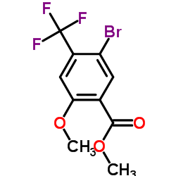 5-溴-2-甲氧基-4-(三氟甲基)苯甲酸甲酯结构式