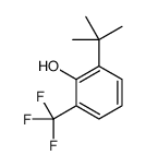 2-tert-butyl-6-(trifluoromethyl)phenol Structure