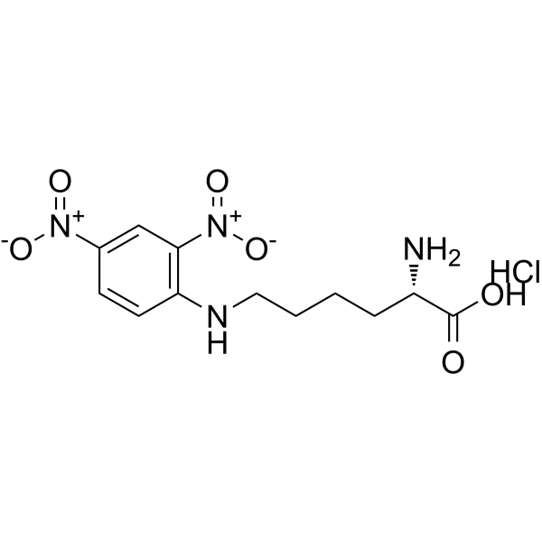 Nε-(2,4-二硝基苯基)-L-赖氨酸盐酸盐结构式