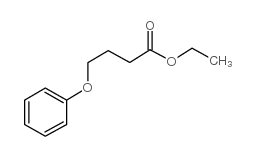 Butanoic acid,4-phenoxy-, ethyl ester structure