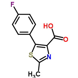 5-(4-氟苯基)-2-甲基-1,3-噻唑-4-羧酸结构式