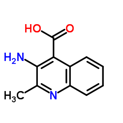 3-氨基-2-甲基喹啉-4-羧酸结构式