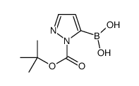 1-(tert-Butoxycarbonyl)-1H-pyrazol-5-ylboronic acid Structure