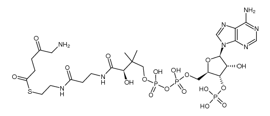 S-(2-(3-((2R)-4-(((((((2R,3S,4R,5R)-5-(6-amino-9H-purin-9-yl)-4-hydroxy-3-(phosphonooxy)tetrahydrofuran-2-yl)methoxy)(hydroxy)phosphoryl)oxy)(hydroxy)phosphoryl)oxy)-2-hydroxy-3,3-dimethylbutanamido)propanamido)ethyl) 5-amino-4-oxopentanethioate结构式