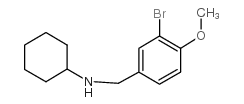N-[(3-bromo-4-methoxyphenyl)methyl]cyclohexanamine结构式