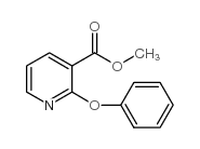 2-苯氧基烟酸甲酯结构式