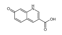 7-hydroxyquinoline-3-carboxylic acid Structure