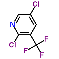 2,5-二氯-3-(三氟甲基)吡啶结构式