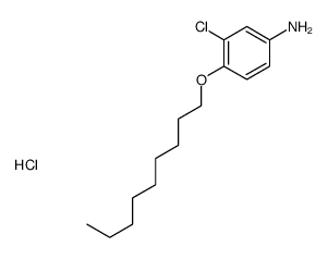 3-chloro-4-nonoxyaniline,hydrochloride Structure