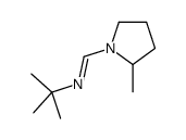 N-tert-butyl-1-(2-methylpyrrolidin-1-yl)methanimine结构式
