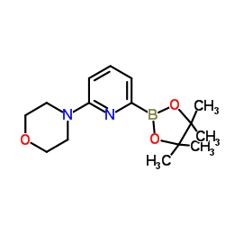 4-(6-(4,4,5,5-tetramethyl-1,3,2-dioxaborolan-2-yl)pyridin-2-yl)Morpholine structure