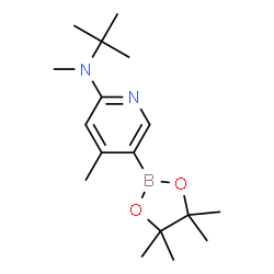 N-tert-butyl-N,4-dimethyl-5-(4,4,5,5-tetramethyl-1,3,2-dioxaborolan-2-yl)pyridin-2-amine结构式