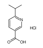 6-异丙基烟酸盐酸盐结构式