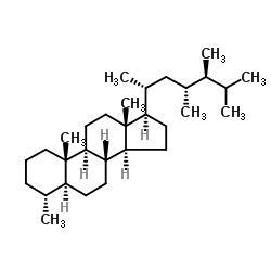 (4α,5α,23R,24S)-4,23-Dimethylergostane picture