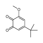 5-tert-butyl-3-methoxycyclohexa-3,5-diene-1,2-dione Structure