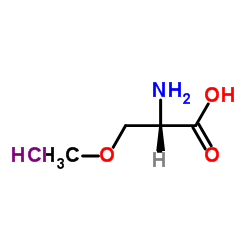 O-Methyl-L-serine hydrochloride (1:1) structure