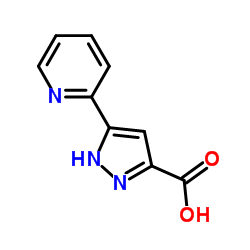 5-吡啶-2-基-1H-吡唑-3-羧酸结构式