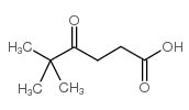 5,5-dimethyl-4-oxohexanoic acid picture