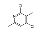 2,4-dichloro-3,6-dimethylpyridine structure