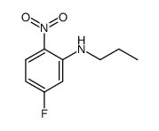 (5-fluoro-2-nitro-phenyl)-propyl-amine Structure