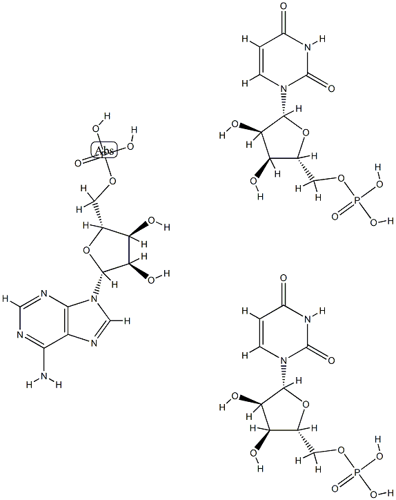 5-Adenylic acid, homopolymer, complex with 5-uridylic acid homopolymer (1:2) Structure