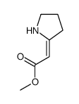 2-(吡咯烷-2-亚基)乙酸甲酯结构式