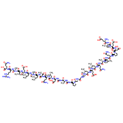 C-Peptide 2, rat picture