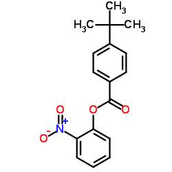 2-Nitrophenyl 4-(2-methyl-2-propanyl)benzoate Structure