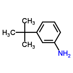 3-(tert-Butyl)aniline Structure