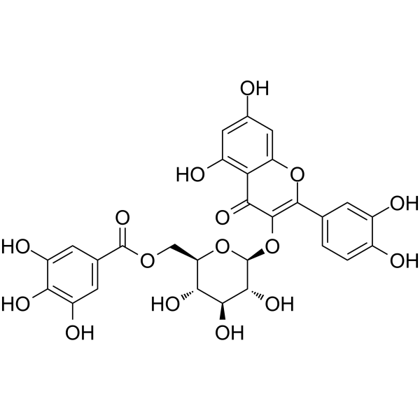 槲皮素3-O-(6''-没食子酰基)-β-D-葡萄糖苷结构式