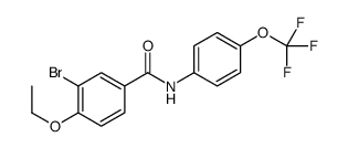 3-bromo-4-ethoxy-N-[4-(trifluoromethoxy)phenyl]benzamide Structure