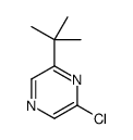 2-叔丁氧基-6-氯吡嗪结构式
