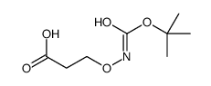 Propanoic acid, 3-[[[(1,1-dimethylethoxy)carbonyl]amino]oxy]- (9CI) Structure