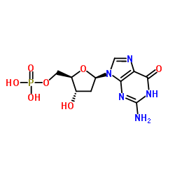 2'-脱氧-5'-鸟苷酸结构式