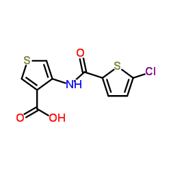 4-{[(5-Chloro-2-thienyl)carbonyl]amino}-3-thiophenecarboxylic acid Structure