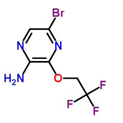 5-溴-3-(2,2,2-三氟乙氧基)吡啶-2-胺结构式